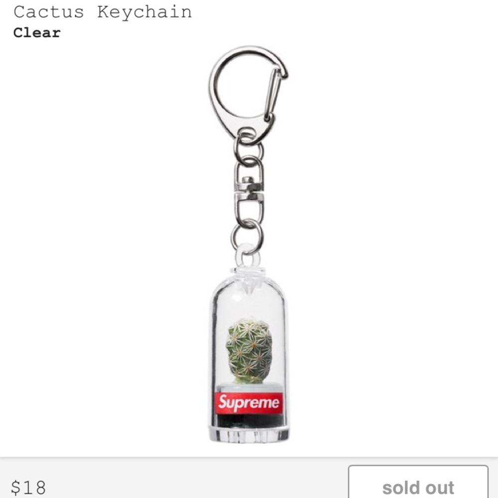 SUPREME CACTUS KEYCHAIN